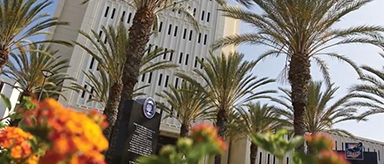 Photo of front of CSUF with palm trees