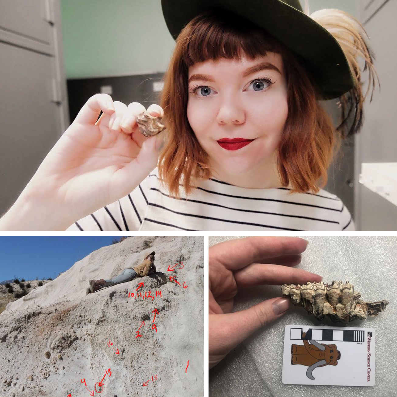 Brittney Stoneburg, working in field, and with pony jaw bone