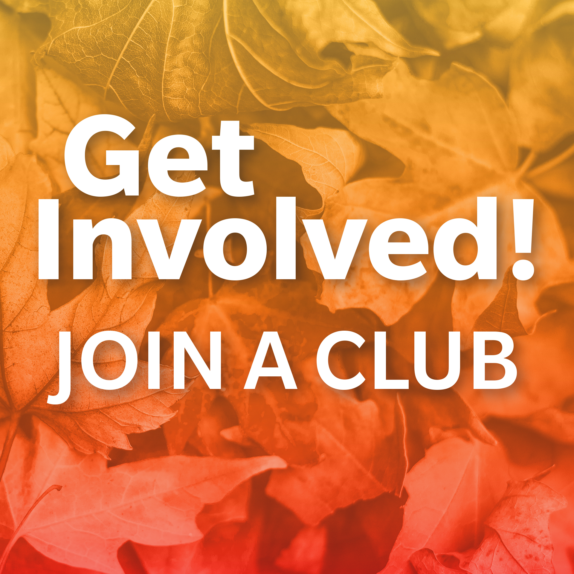 Get Involved! Join a Club
