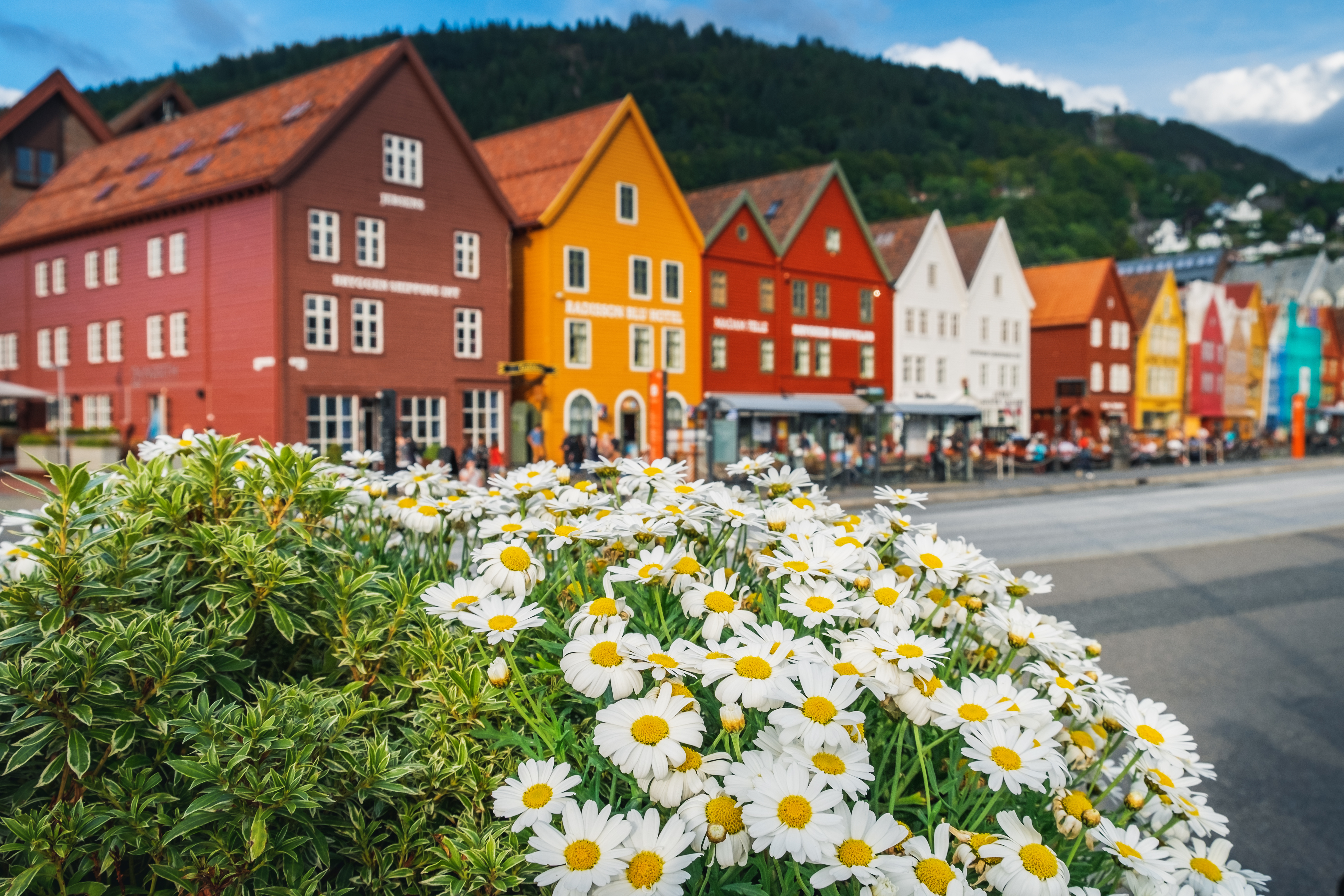 Norway Study Abroad